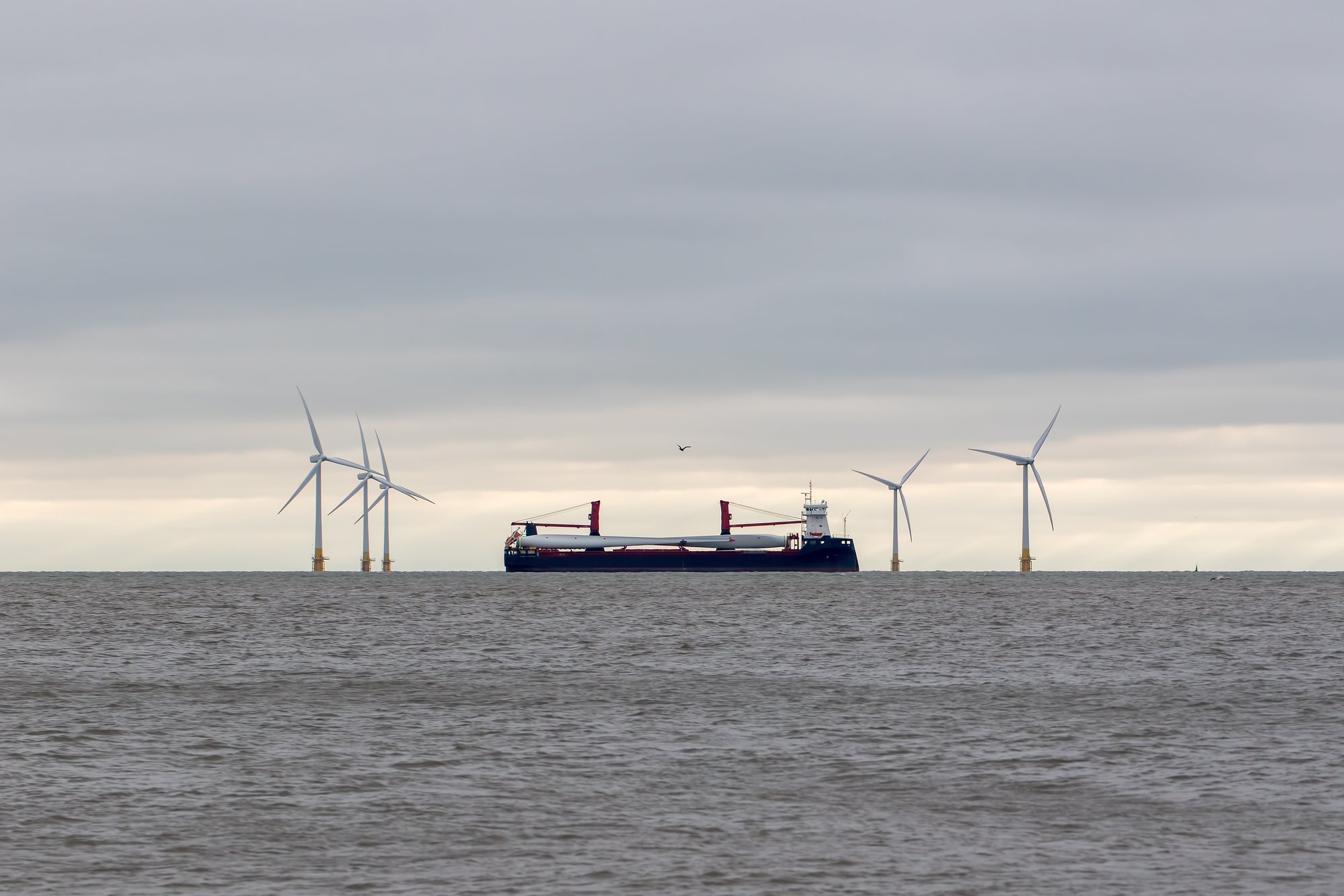 AdobeStock_298033427 (1)